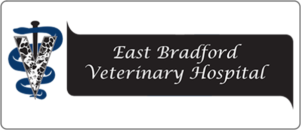 East Bradford Veterinary Hospital